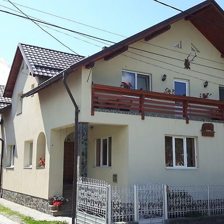 Pensiunea Casa Stet Toader Iulian Săpînţa Kültér fotó