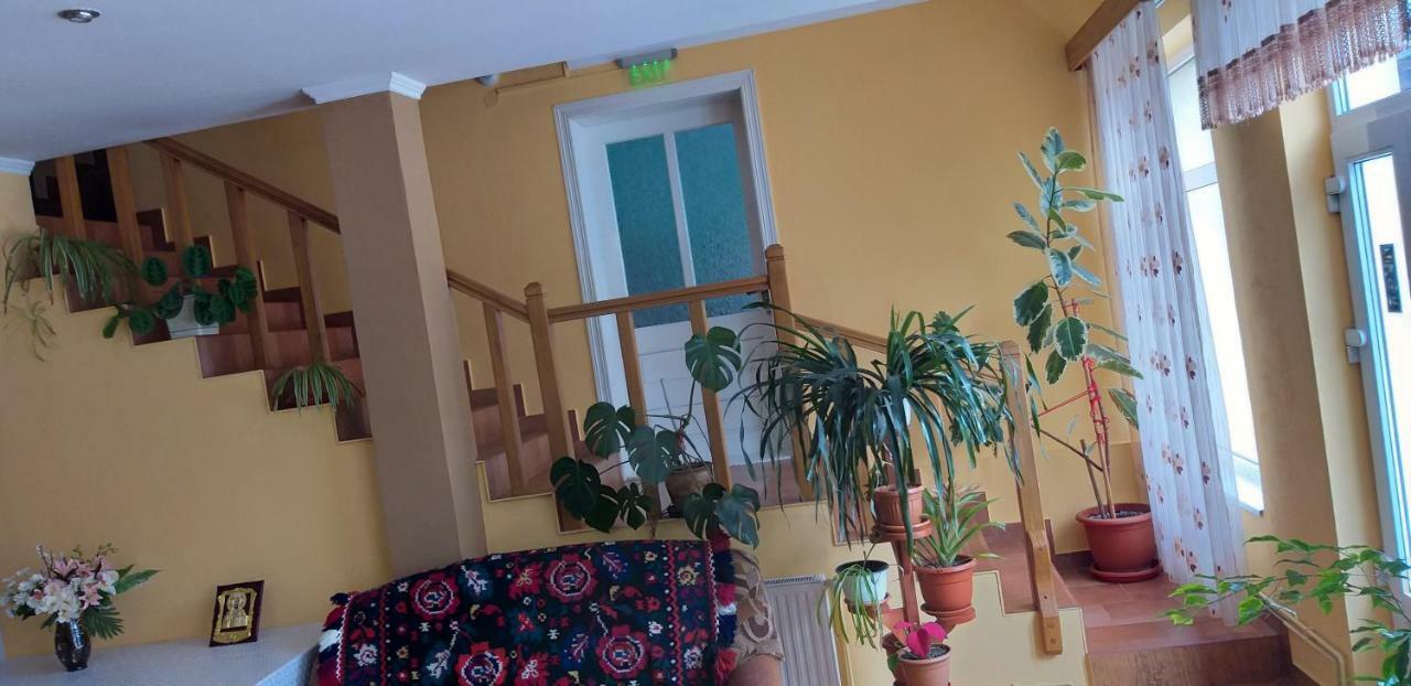 Pensiunea Casa Stet Toader Iulian Săpînţa Kültér fotó